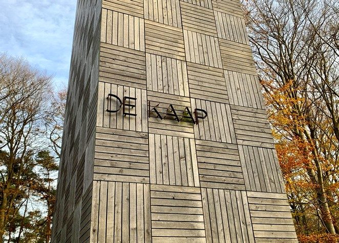 de-kaap-kaapse-bossen