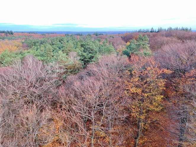 uitkijktoren-utrechtse-heuvelrug