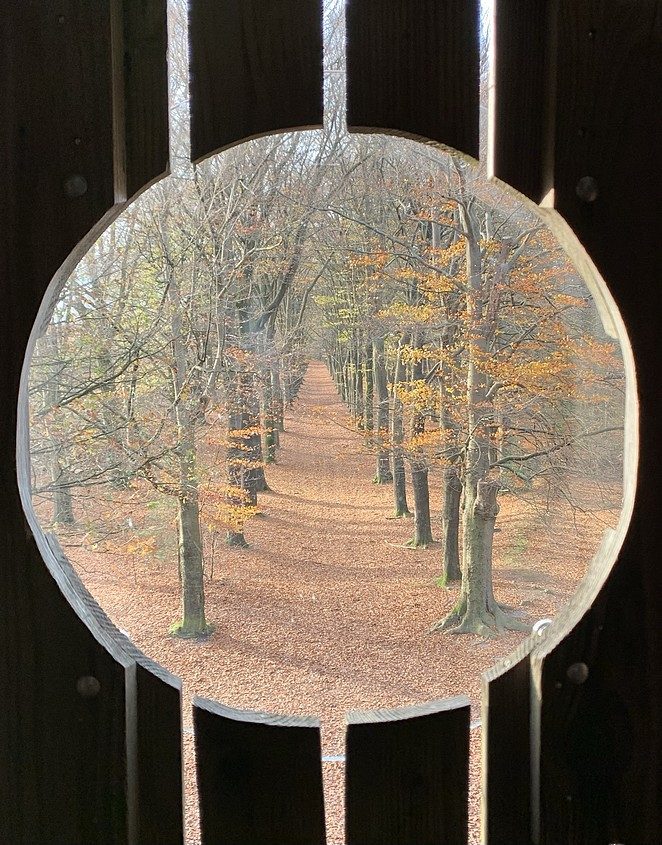 uitkijktoren-in-het-bos