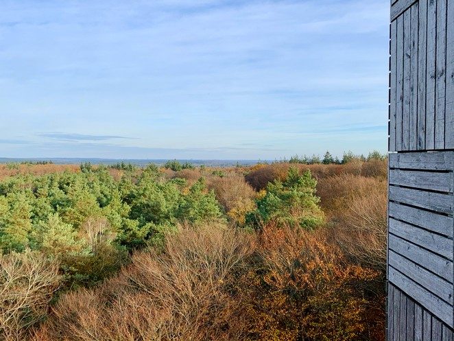 uitkijktoren-kaapse-bossen