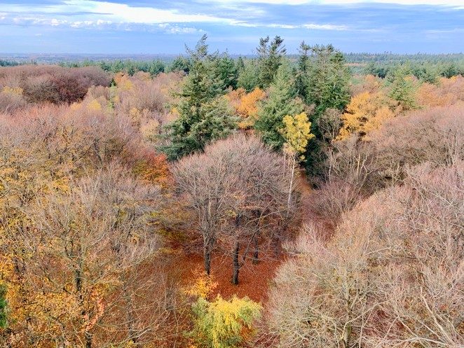 uitzichtpunt-kaapse-bossen