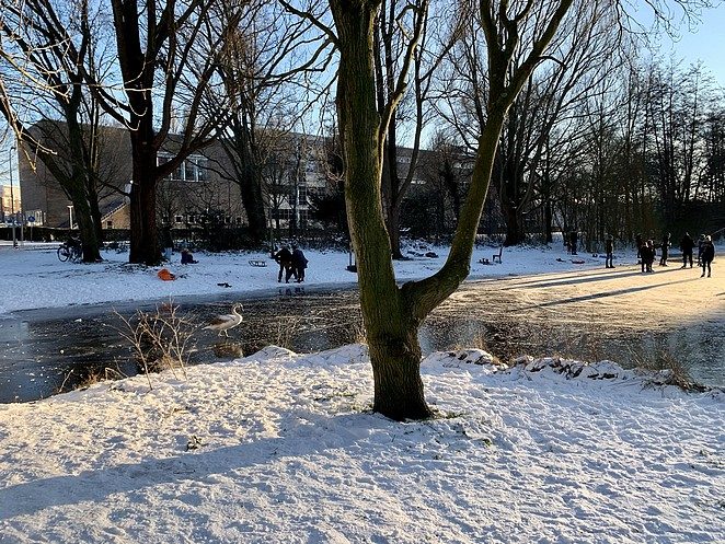 ijs-den-haag-waar