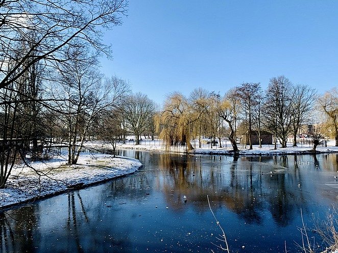 natuurijs-den-haag