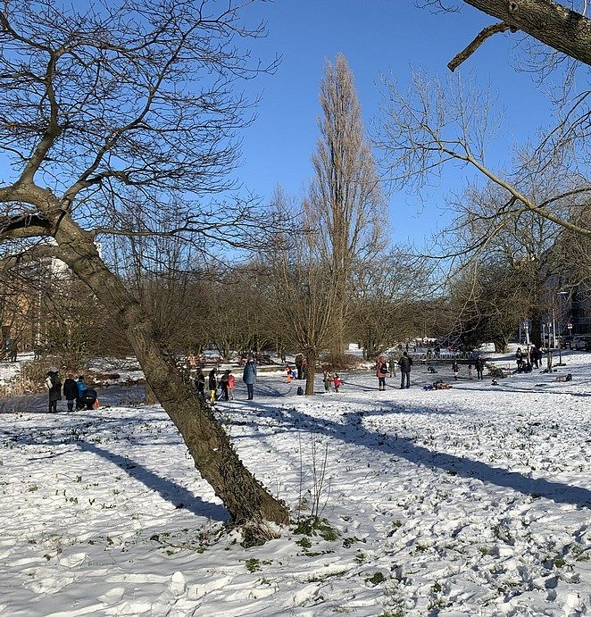 schaatsen stadhoudersplantsoen