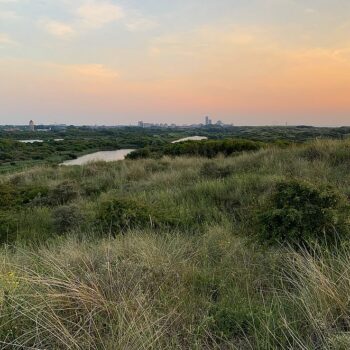 nationaal-park-hollandse-duinen