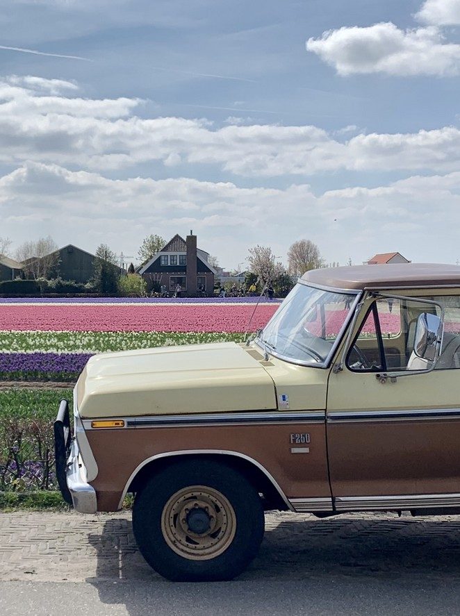 roadtrip bollenvelden