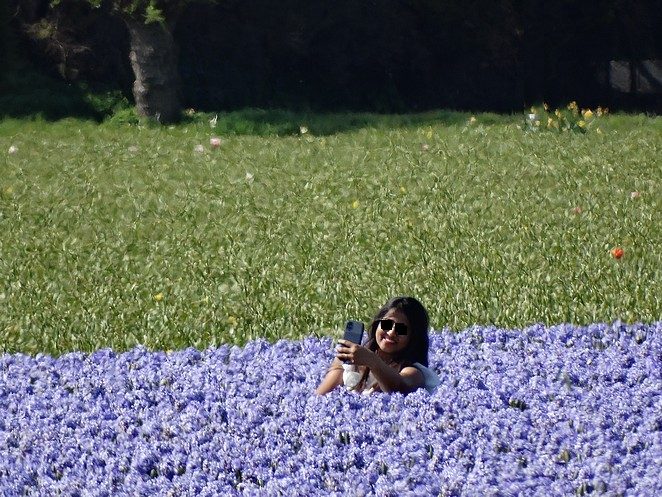 selfie in hyacintenveld