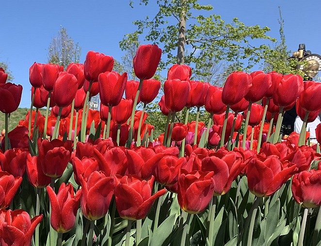 floriade-eco-district