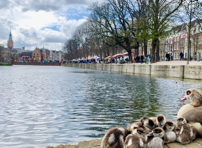 paasmarkt lange vijverberg
