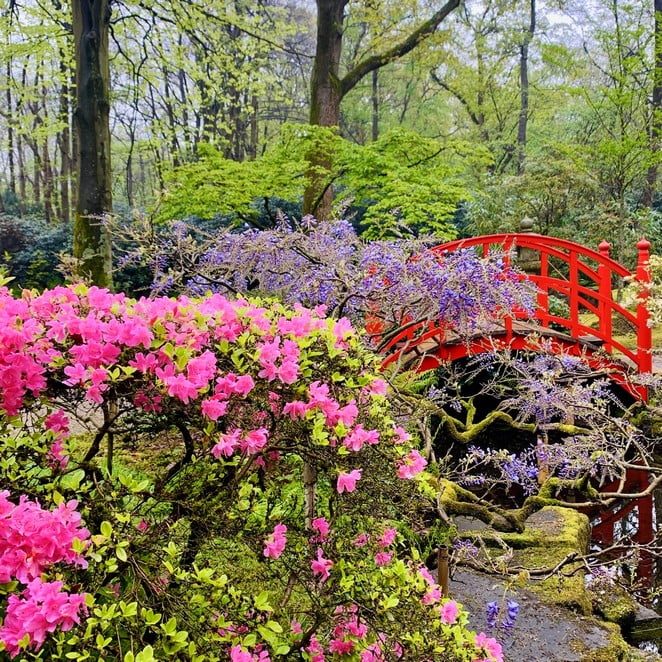 japanse-tuin-april