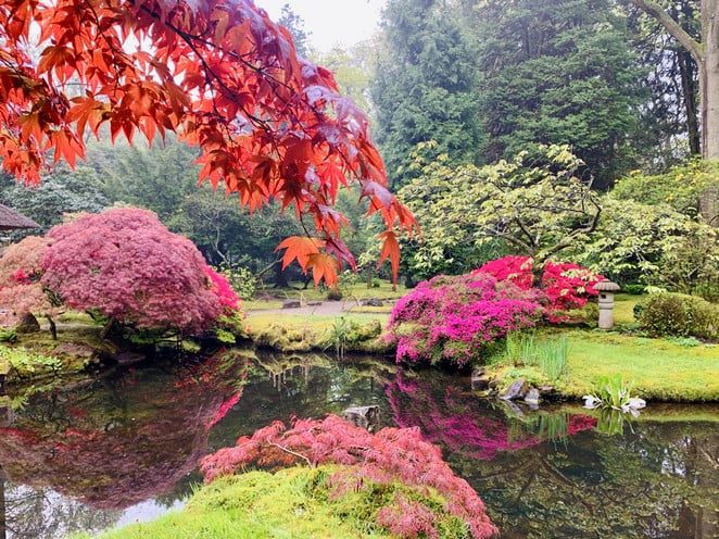 japanse-tuin-eind-april