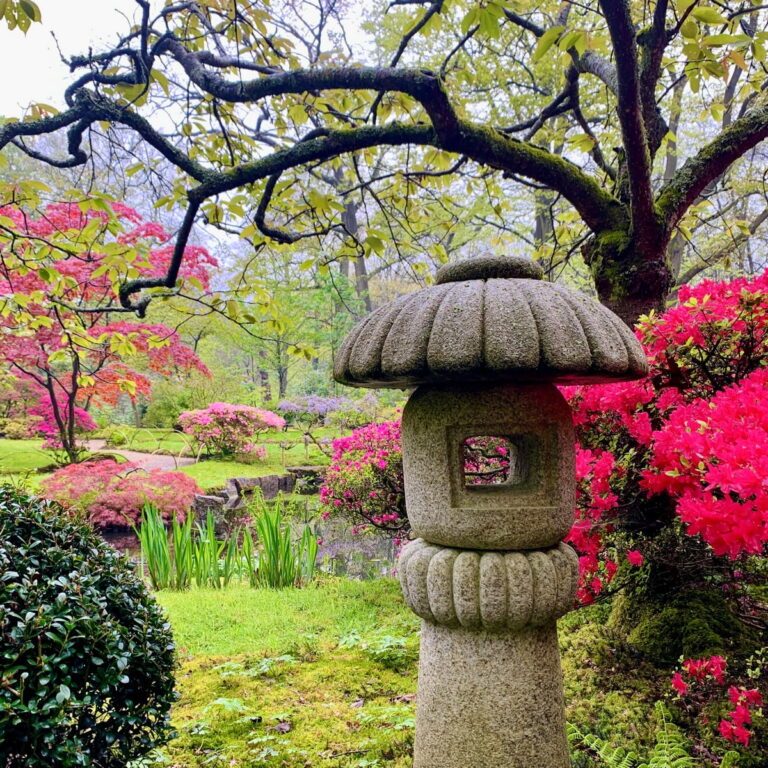 japanse tuin in de lente