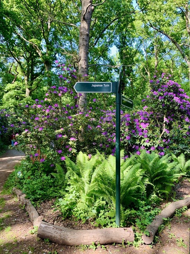 route japanse tuin sterrebos