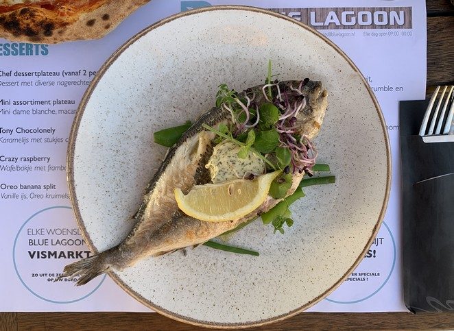 blue lagoon scheveningen