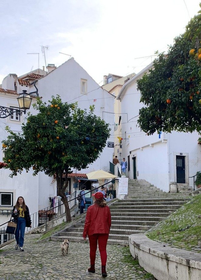 portugal tips