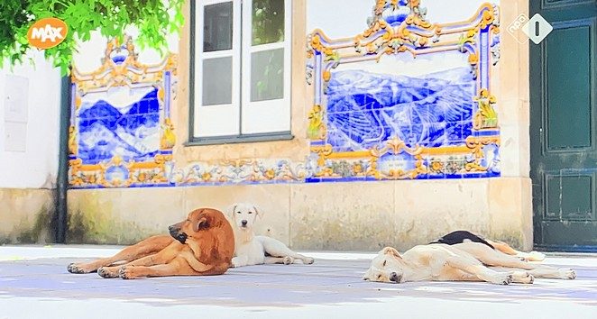 we zijn er bijna in portugal