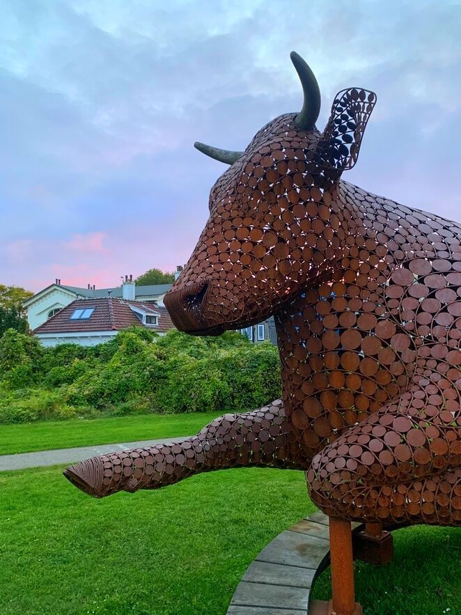 beeldende kunst koe