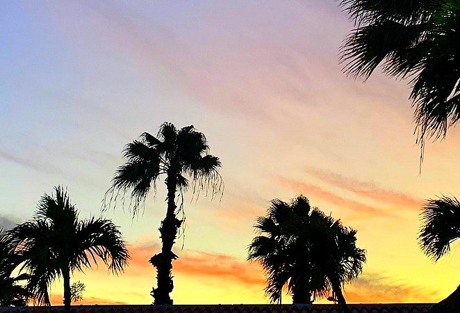 black friday reis boeken