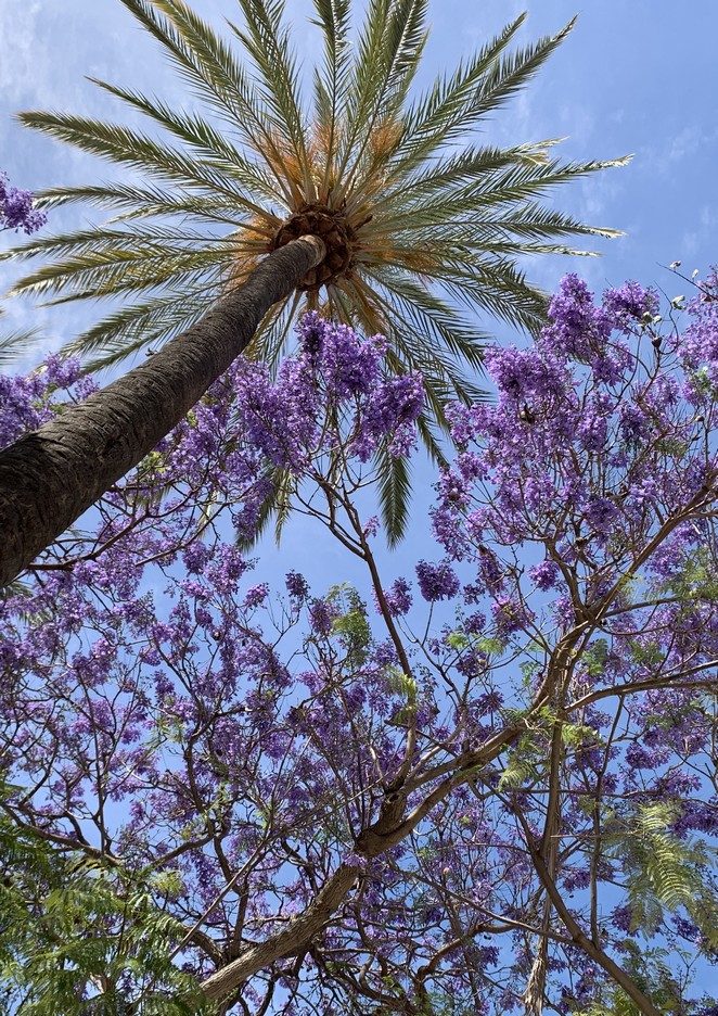 black friday vakantie boeken