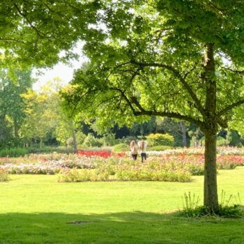 rosarium westbroekpark scheveningen
