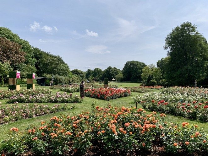 rozenconcours westbroekpark