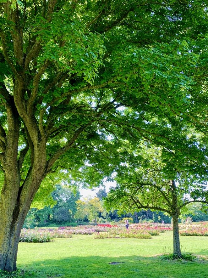 westbroekpark 2025