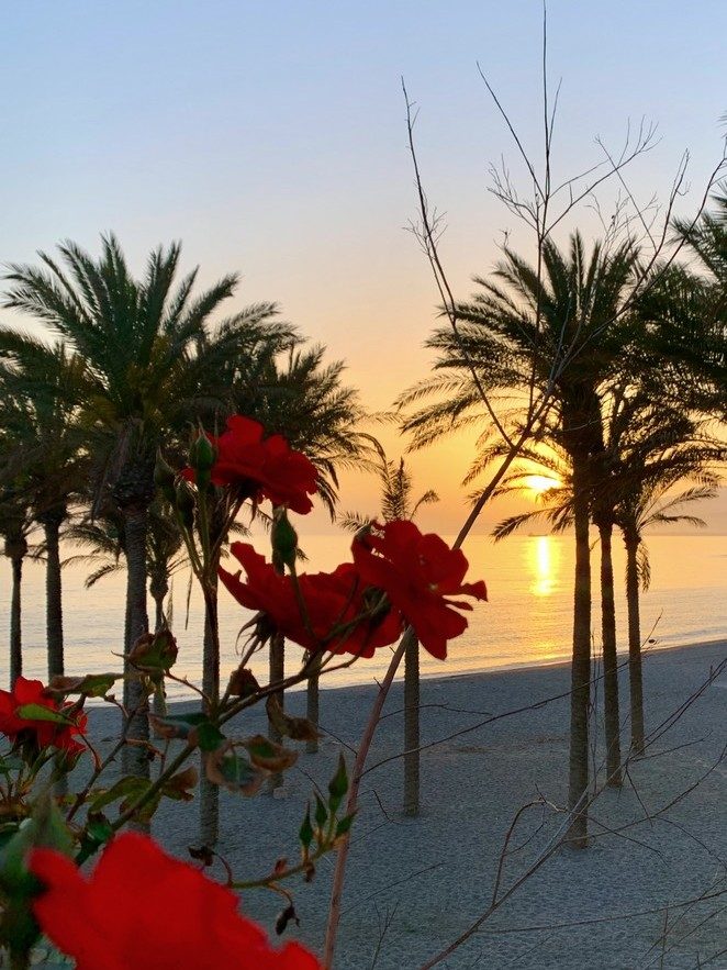 costa-tropical-mooi-strand