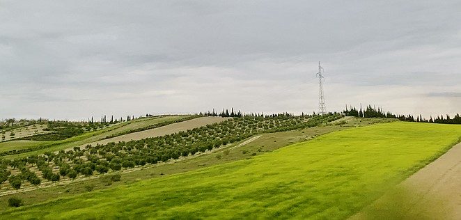groen-andalusie
