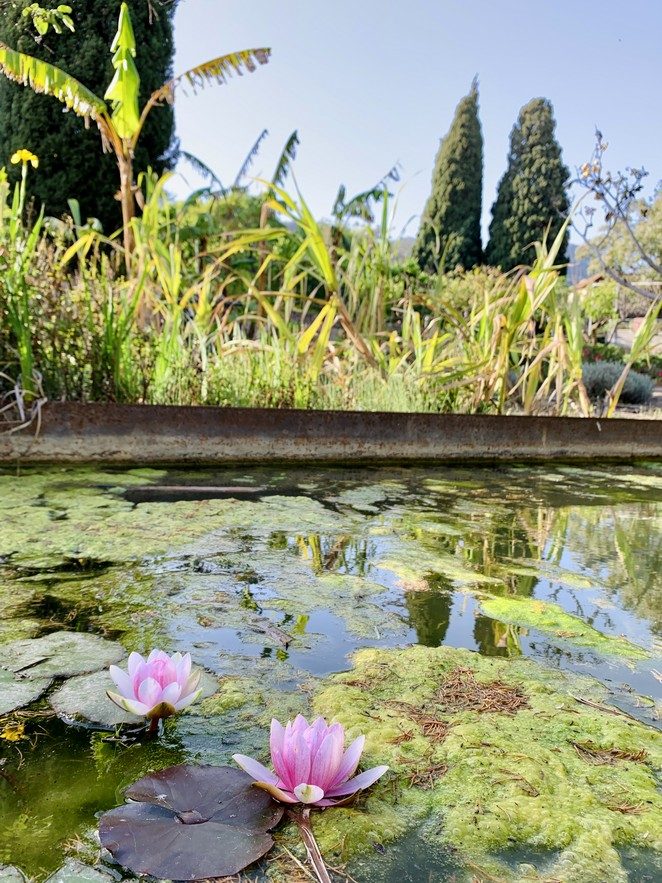 moorse tuin